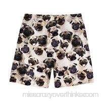 Coloranimal Swim Trunks Quick Dry Bathing Suit Summer Beach Holiday Casual Shorts for Men Pug Dog-2 B07MV416WS